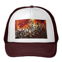 Fire in the corn field hats