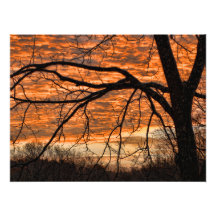 Fire in the Winter Morning Sky Photo Art