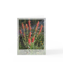 Firecracker Penstemon - Native Notecard