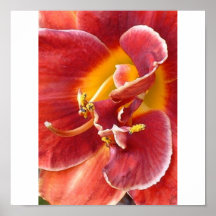 firedaylily posters