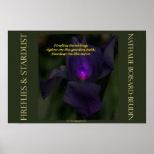 "Fireflies & Stardust" Portfolio Poster (16.5 x 11