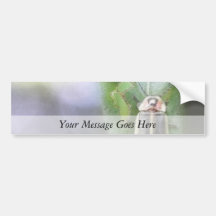 Firefly - Photuris Pyralis Bumper Sticker