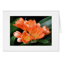 "Fireplant " Carte De Vœux