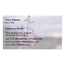 Fireweed Business Cards