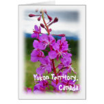 Fireweed Close-Up; Yukon Territory, Canada Greeting Cards