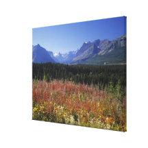 Fireweed flowers gallery wrap canvas