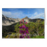 Fireweed in the Pelly Mountains; Customizable Card