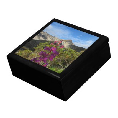 Fireweed in the Pelly Mountains Keepsake Boxes by Picture_Imperfect