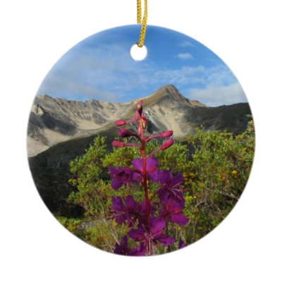 Fireweed in the Pelly Mountains Ornaments by Picture_Imperfect