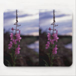 Fireweed Mouse Pads