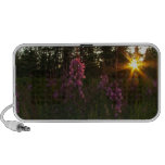Fireweed Sunset Portable Speakers