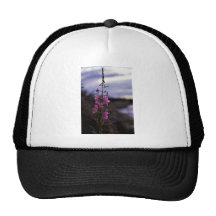 Fireweed Trucker Hats