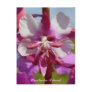 Fireweed Variegated Blossom, Unalaska Island Postcards