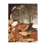 Firewood Postcard