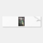 Firework Bumper Sticker