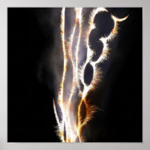 Firework Poster