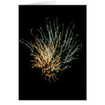 Fireworks Greeting Card