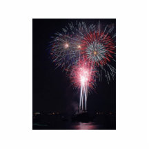 Fireworks Diego Bay On The Fourth Of July Acrylic Cut Outs
