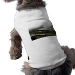 First Beach Pet Clothes