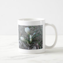 First bud, White Coffee Mug