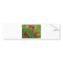 First Poppies Bumper Sticker