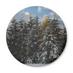 First Snow 2009 Magnets