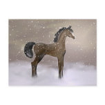 "First Snow" ~ Postcard