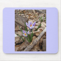 FIRST SPRING FLOWER products Mouse Pad