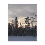 First Winter Sunrise of 2011 Postcard