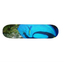 FISH 6 SKATE BOARD DECK
