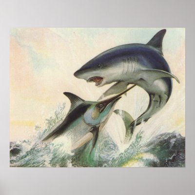 Fish - Black Marlin & Mako Shark Posters by LisasLair