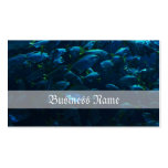 Fish Crowd Business Card