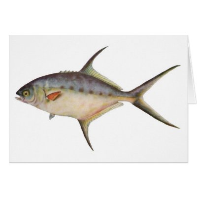 Fish - Dart - Trachinotus botla Card by LisasLair