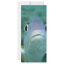 Fish Face