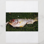 fish flyer