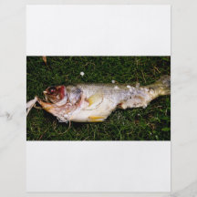 fish flyer