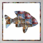 FISH : Graphic Design Print