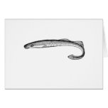 Fish Greeting Card