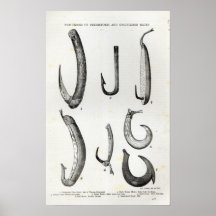 Fish-hooks of Prehistoric and Uncivilised Posters
