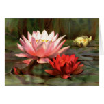 Fish in the Lily Pads - Greeting Card