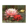 Fish in the Lily Pads - Postcard
