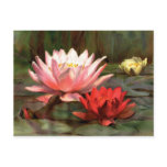 Fish in the Lily Pads - Postcard