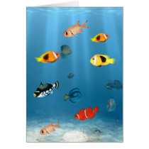 Fish In The Ocean