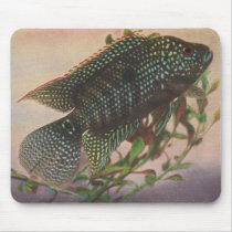 Fish - Jack Dempsey - Archocentrus octofasciatus Mouse Mat