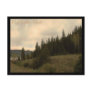 Fish Lake, Utah Postcard