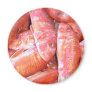 Fish Magnets