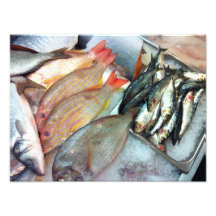 Fish Market Art Photo