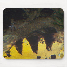 Fish Mouse Pads