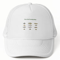 Fish of the Pocomoke River Mesh Hats