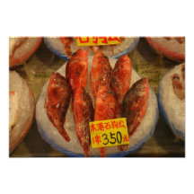 Fish on ice photo art